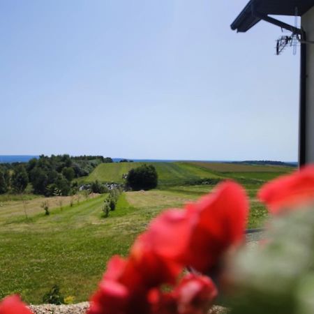Agroturystyka Zdolina Krajno Pierwsze Bagian luar foto